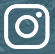 Insta Icon